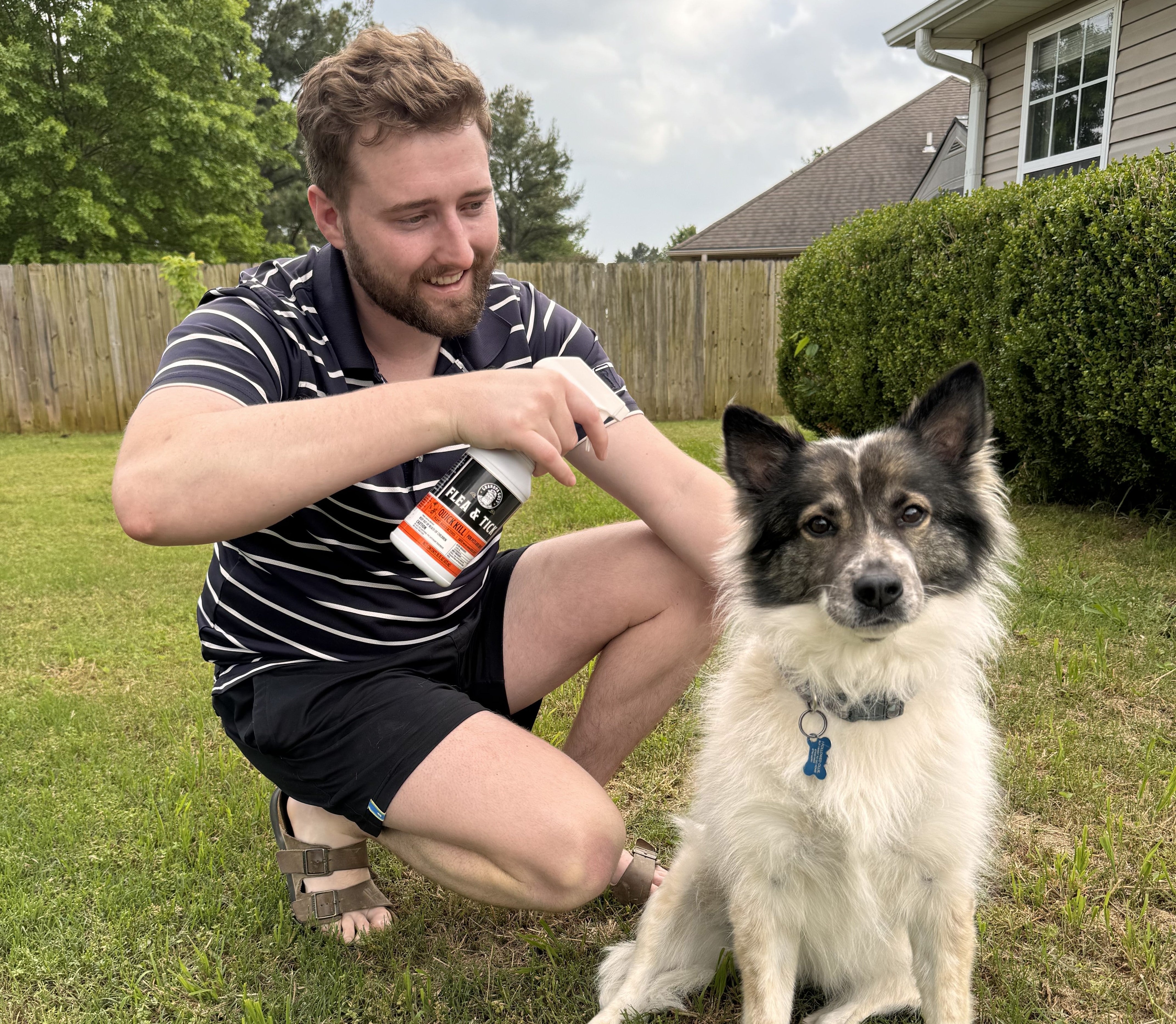 Keeping Your Pup Safe from Fleas, Ticks, and Odors