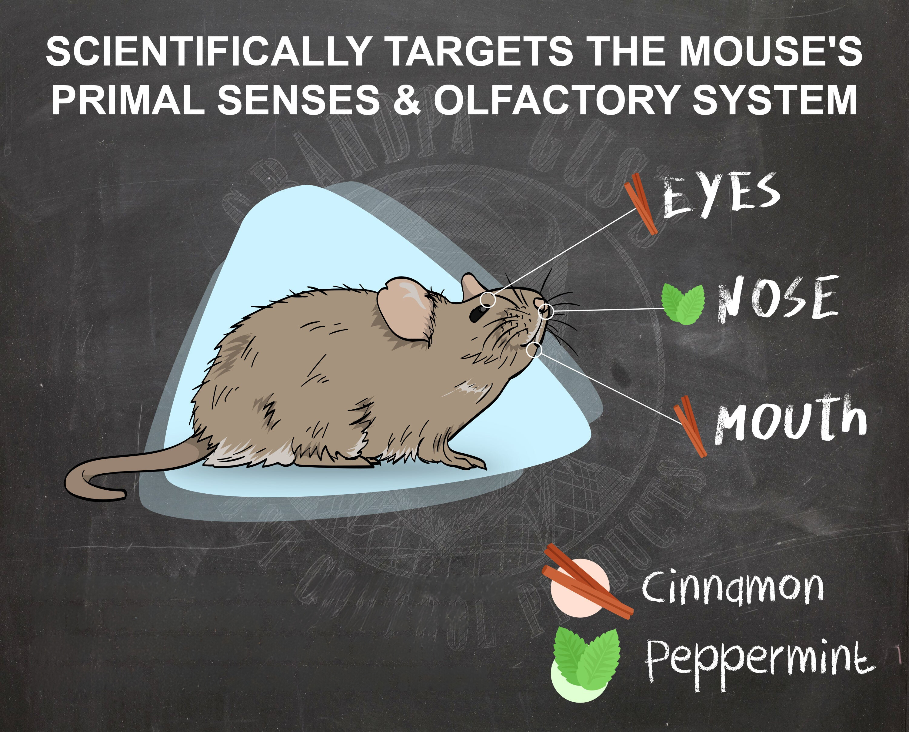 Rodent Repellent Spray