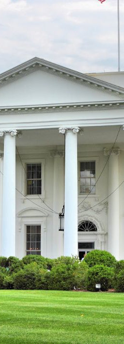 There’s a Mouse in the White House!