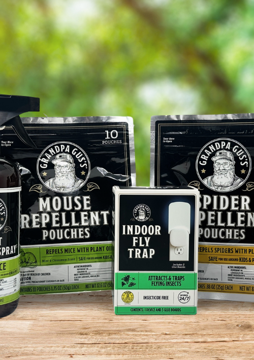 Buy 1 Get 1 FREE* + FREE Shipping