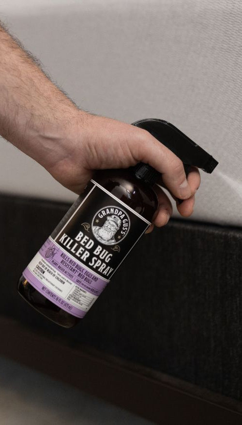 Bed Bug Awareness Week Flash Sale