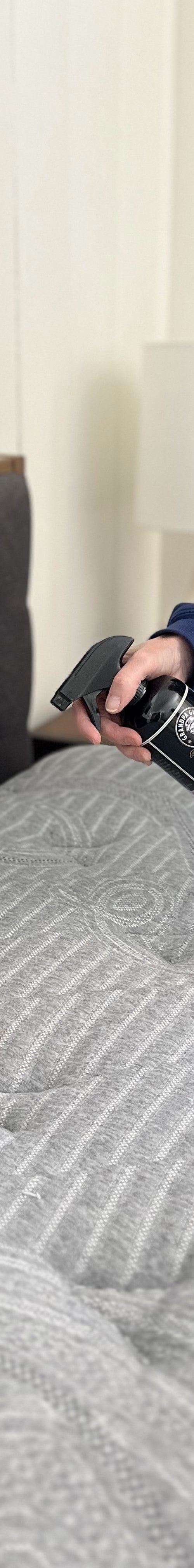 Bed Bug Protection