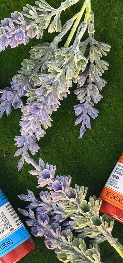 20% Off Insect Sprays