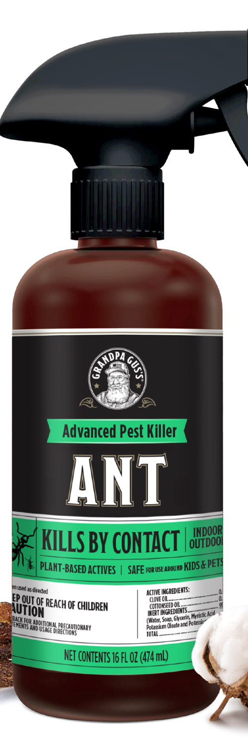 Ant Killer Spray- NEW
