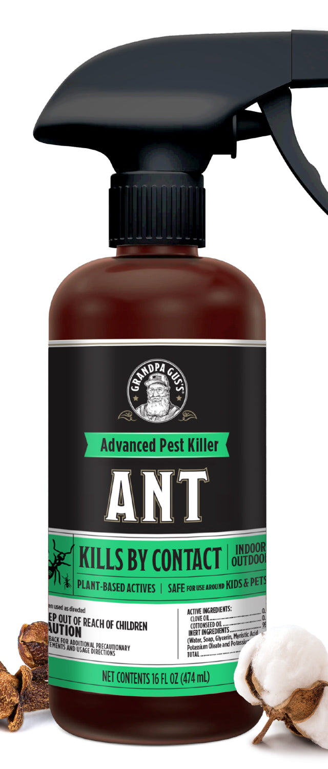 Ant Killer Spray- NEW