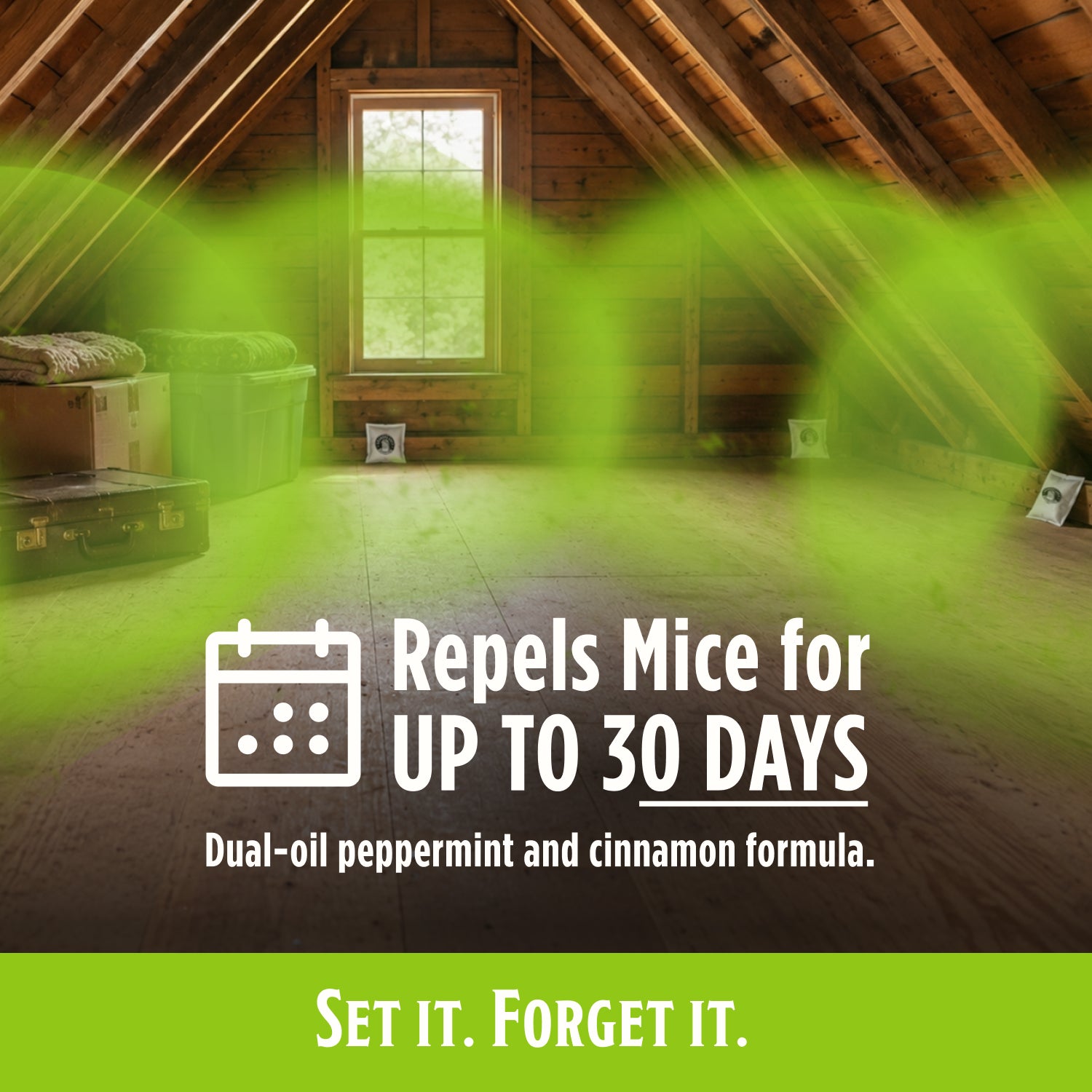 Mouse Repellent Pouches