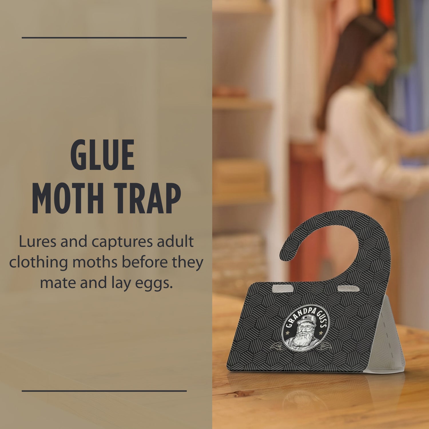 Moth Traps