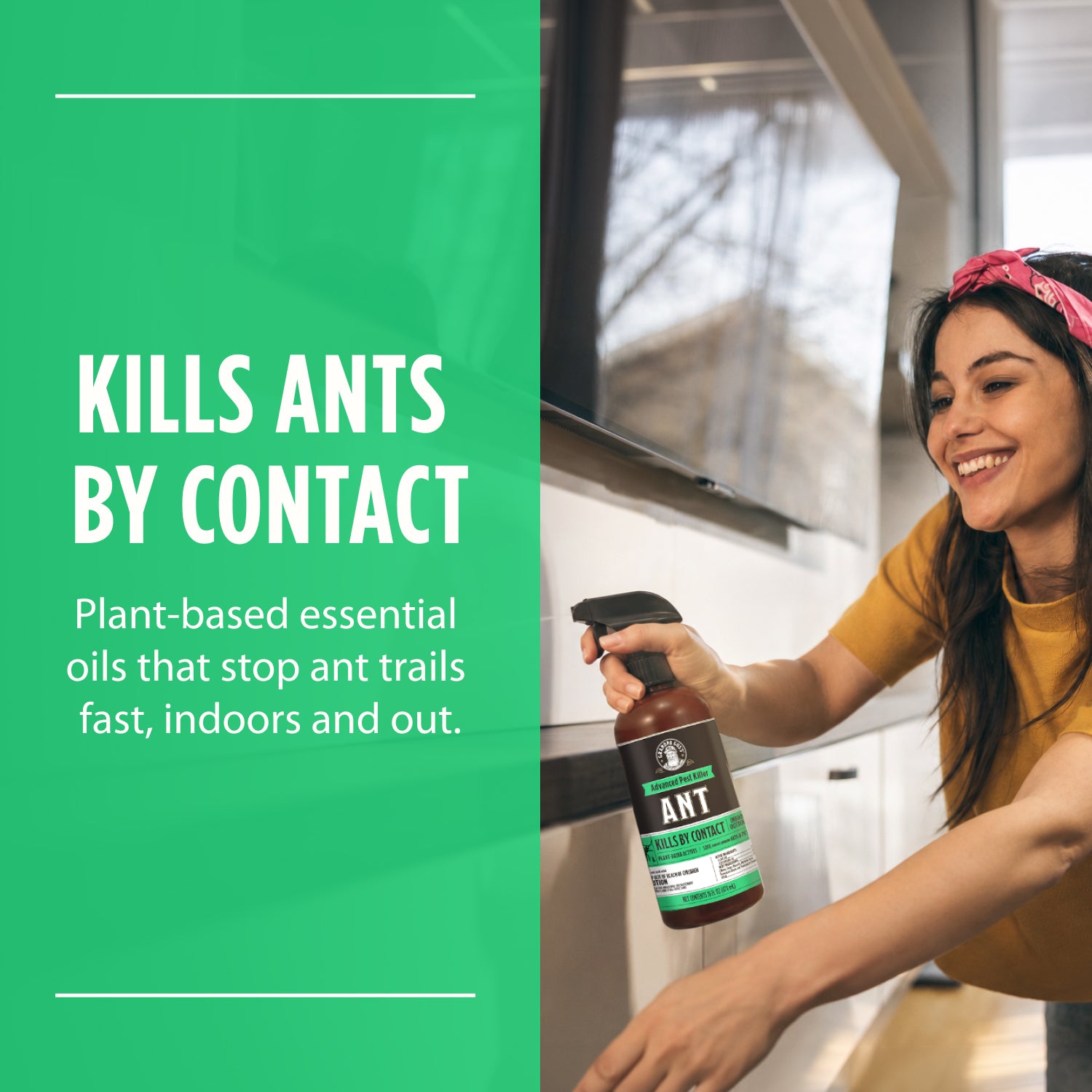Ant Killer Spray- NEW