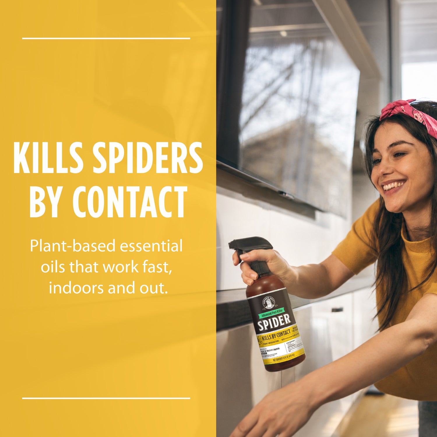 Spider Killer Spray- NEW