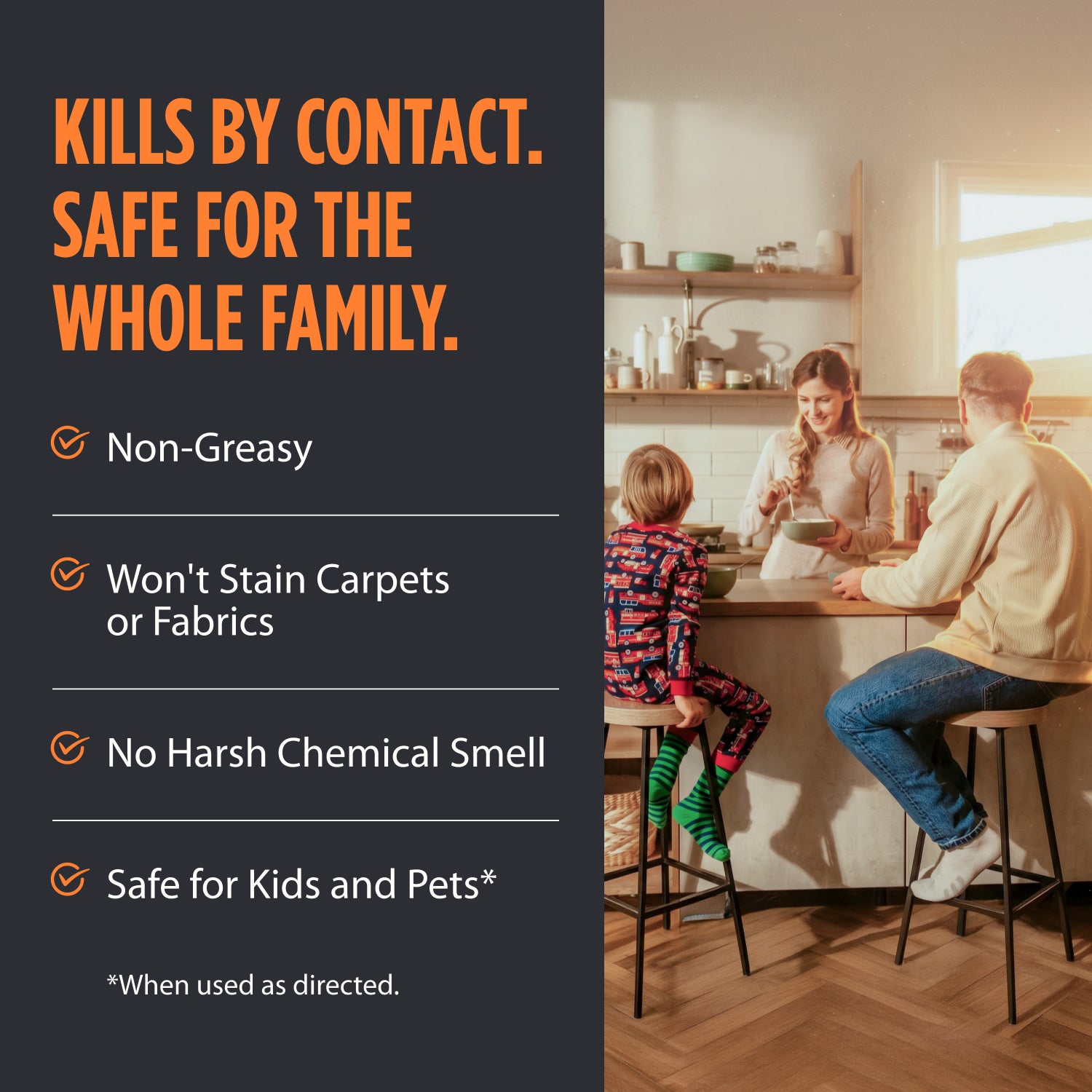 Roach Killer Spray- NEW