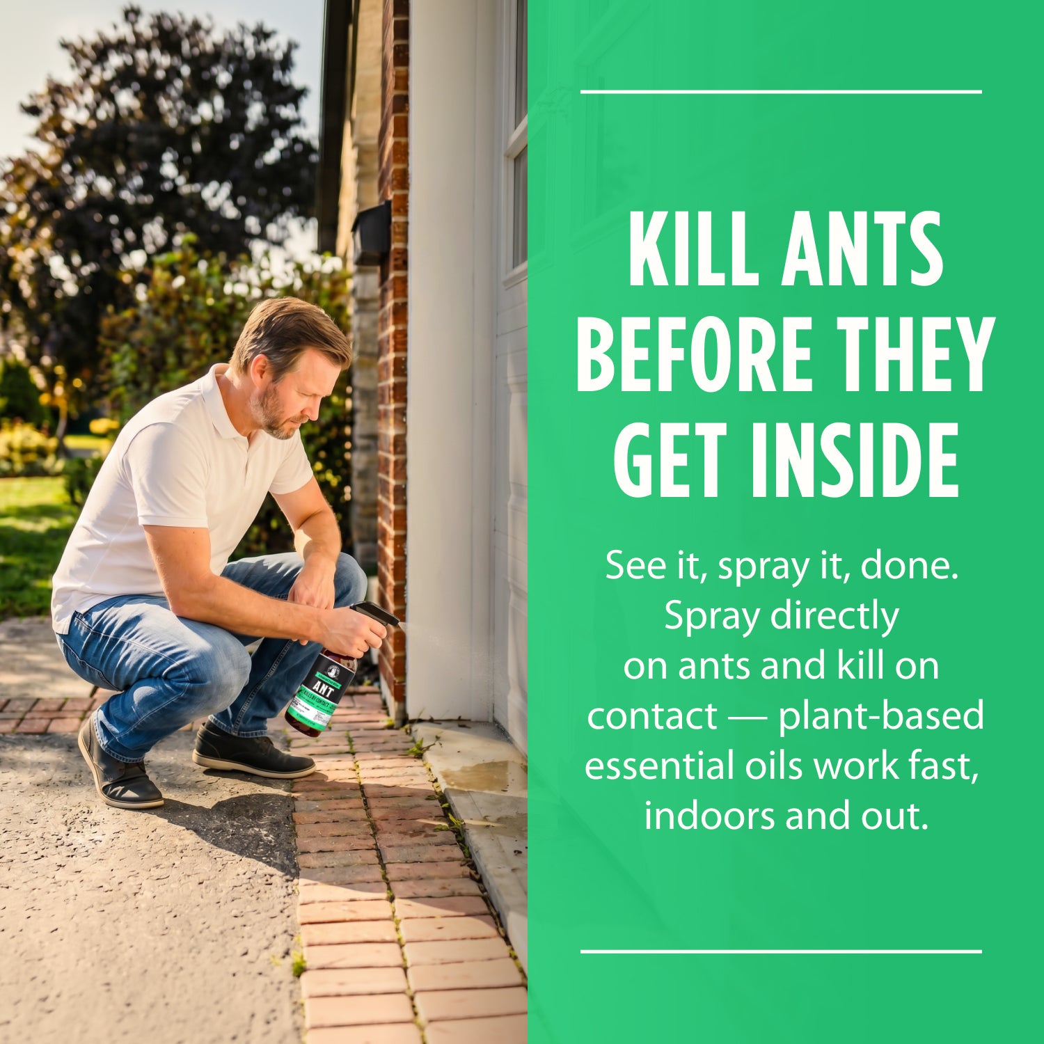 Ant Killer Spray- NEW