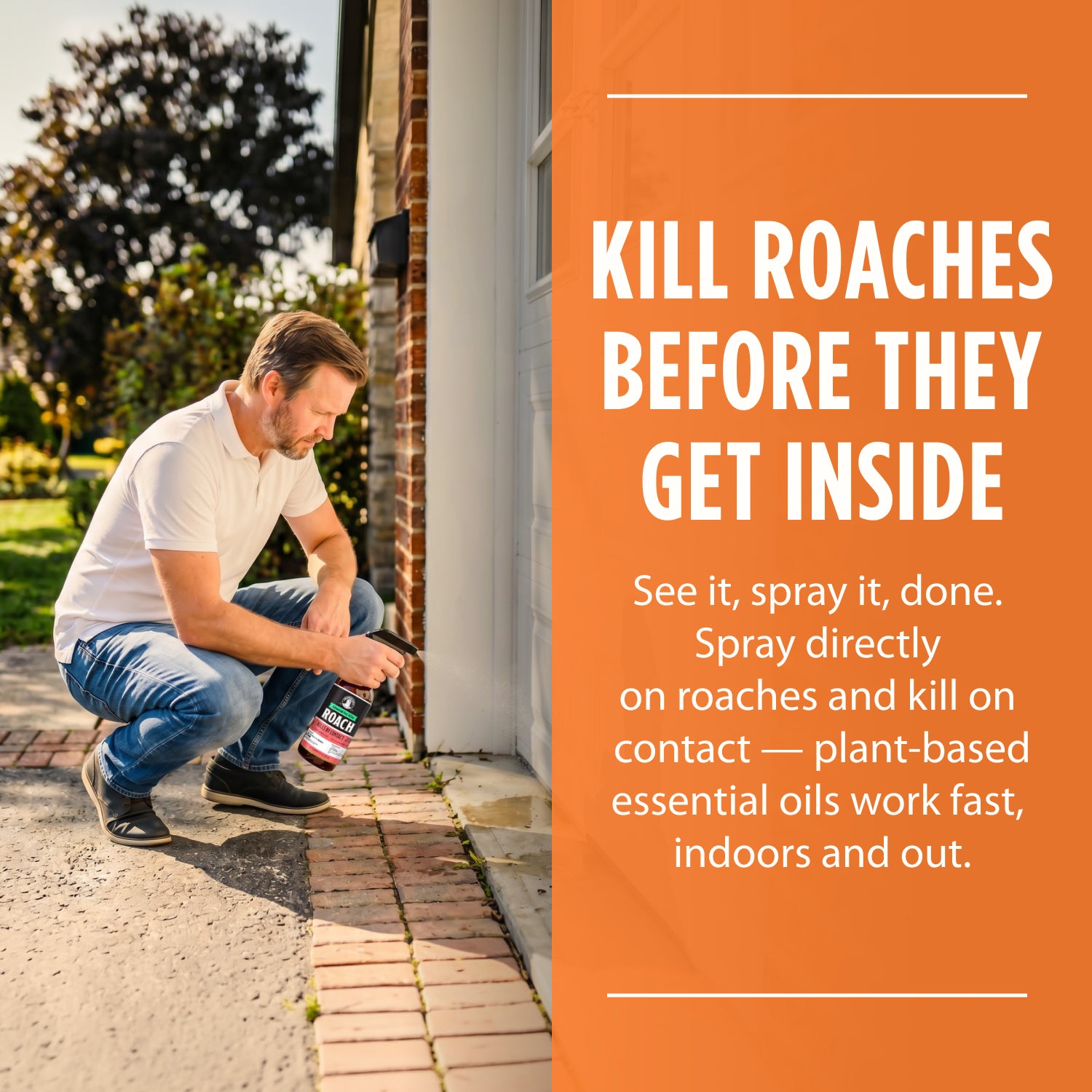 Roach Killer Spray- NEW