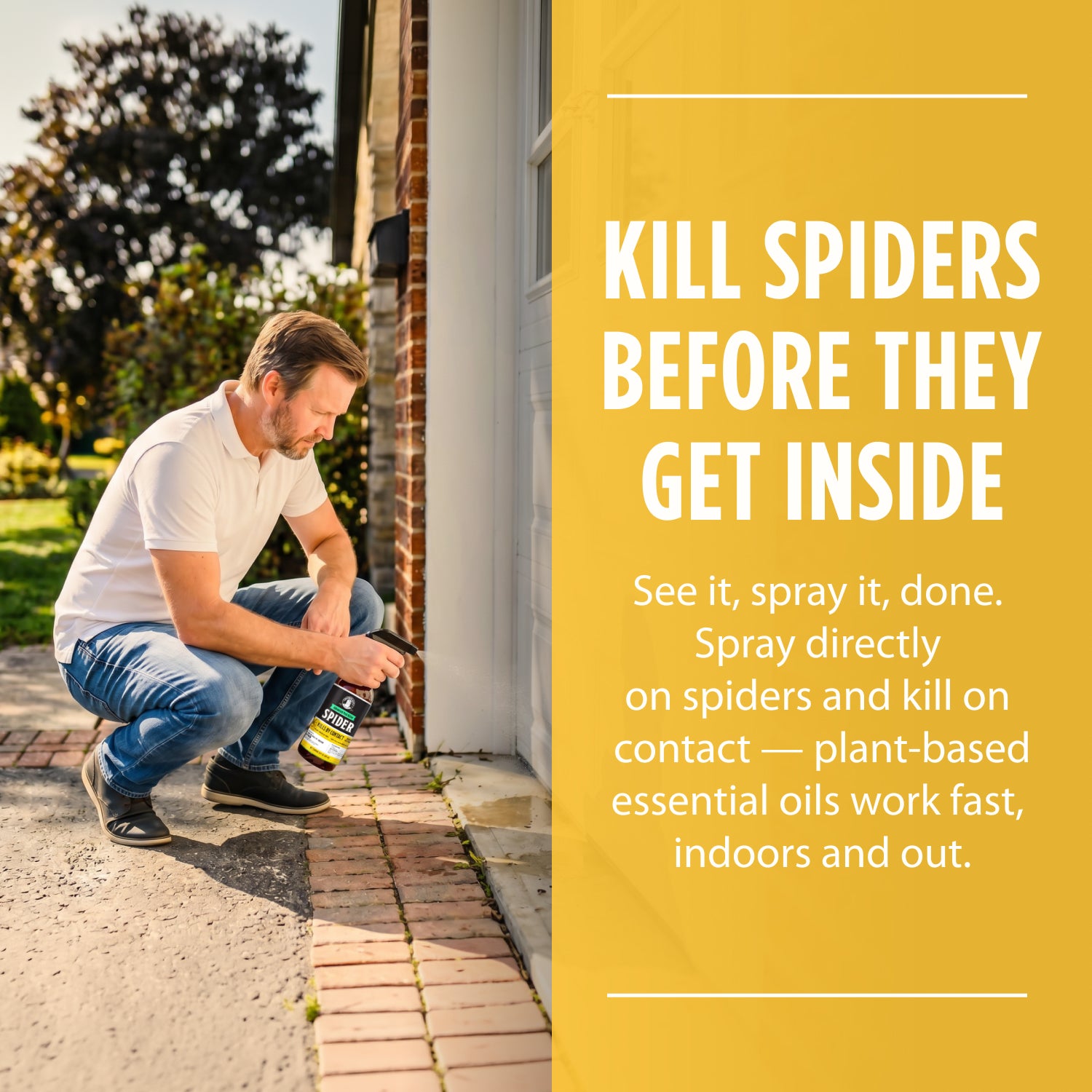 Spider Killer Spray- NEW
