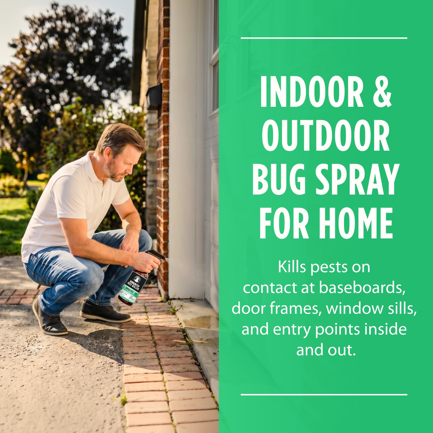 Advanced Pest Killer Ready-To-Use Spray