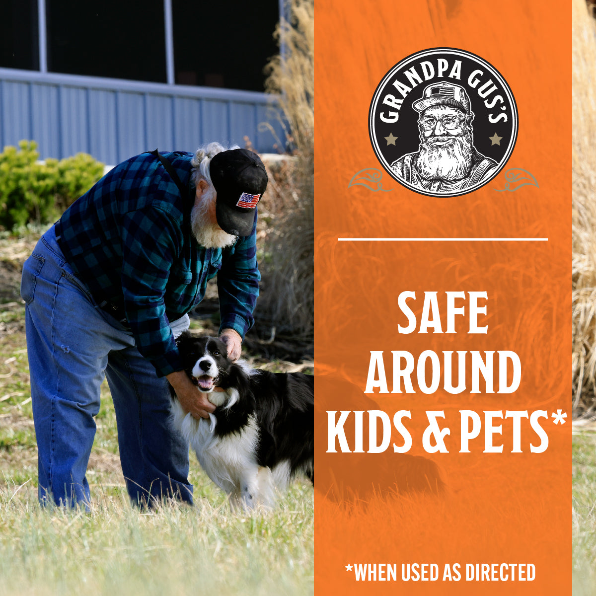 Safest tick repellent for dogs hot sale