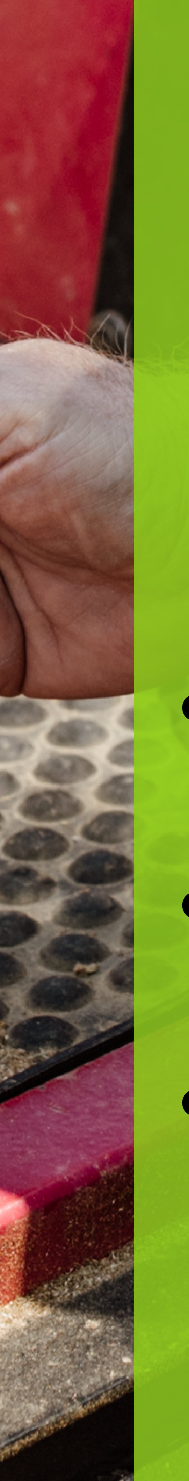 BOGO Mouse Repellent Pouches