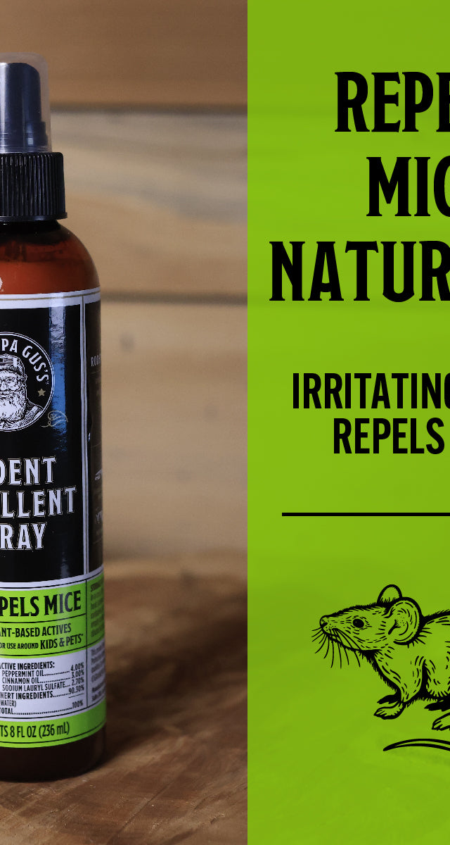 BOGO Rodent Repellent Spray