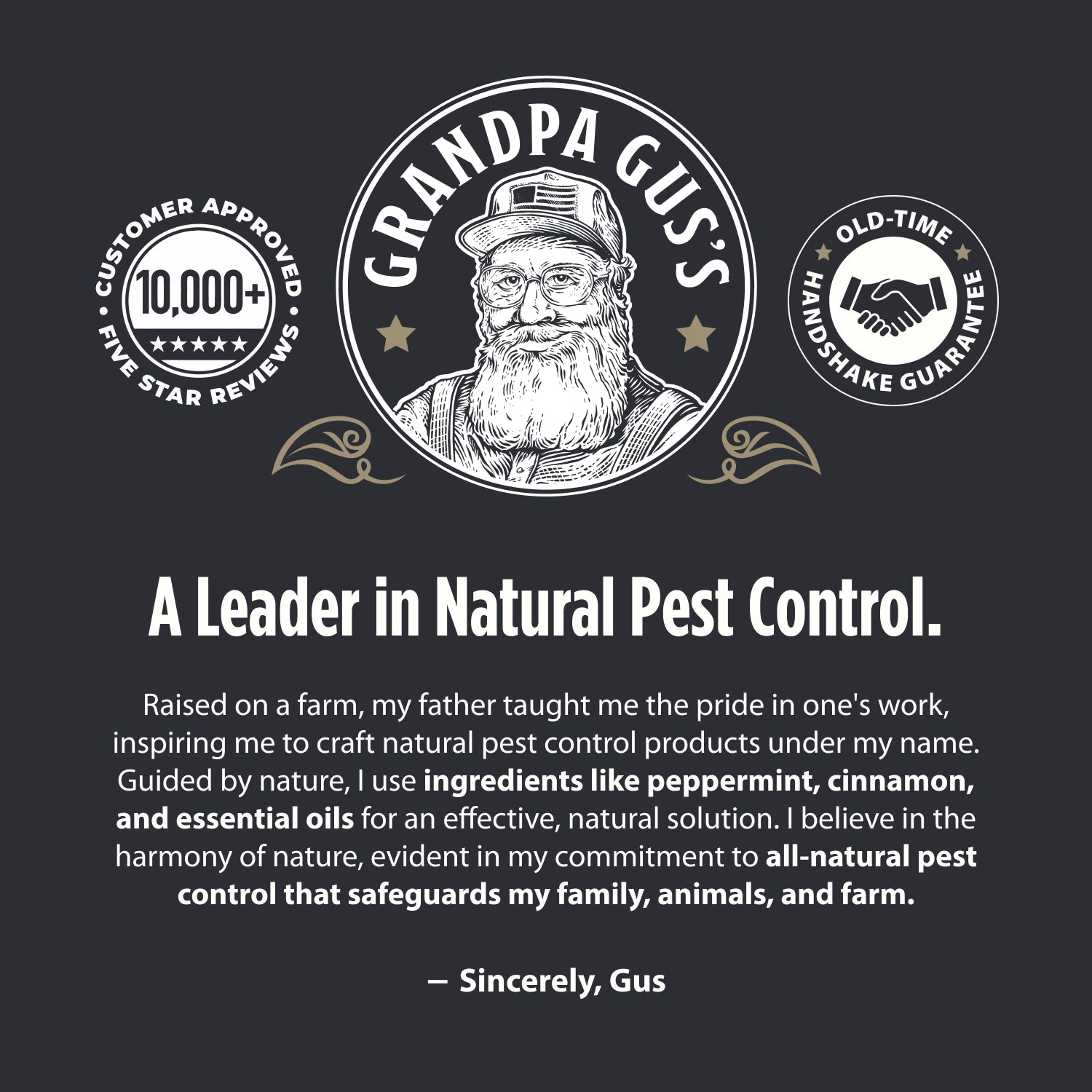 Mouse Repellent Sticks