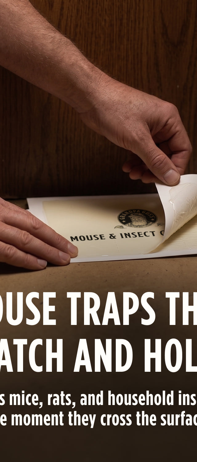Mouse & Insect Glue Board Traps