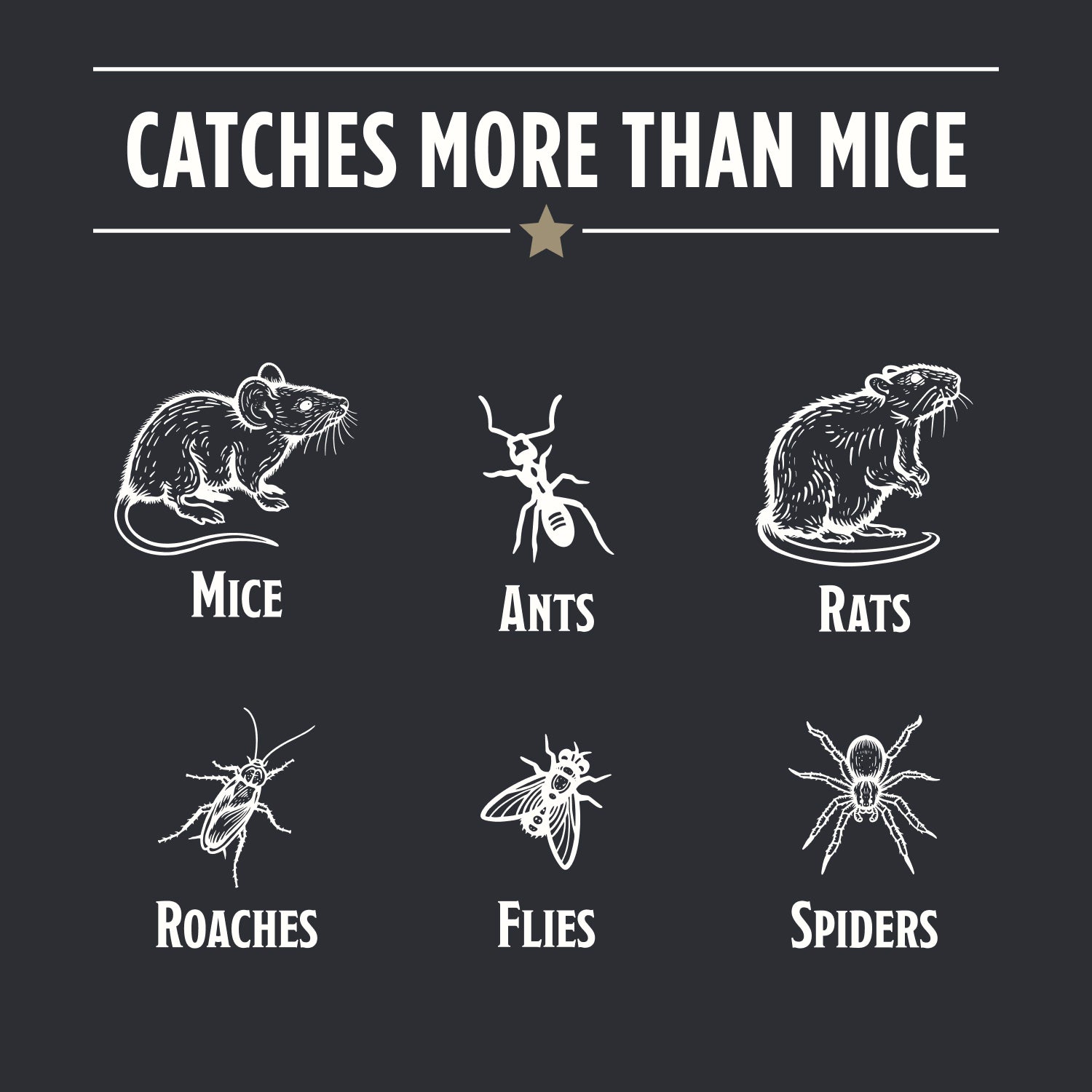 Mouse & Insect Glue Board Traps