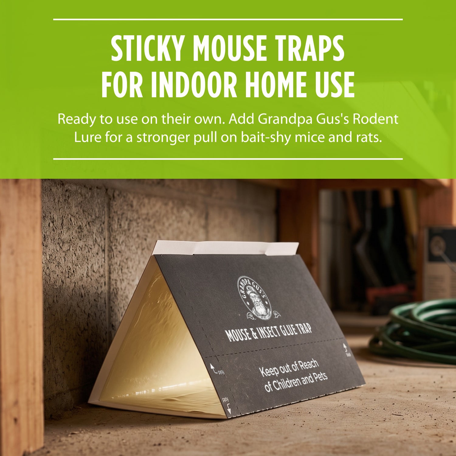 Mouse & Insect Glue Board Traps