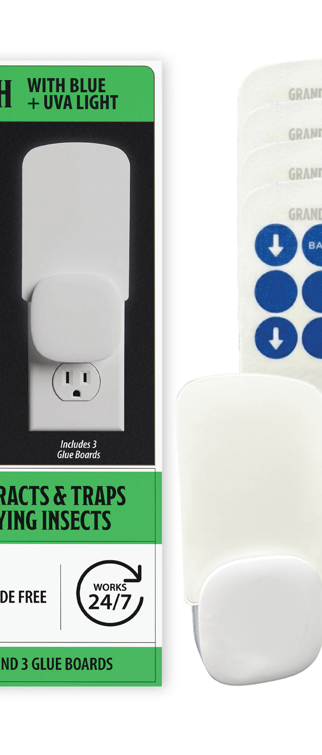 Indoor Fly Trap 2 Pack