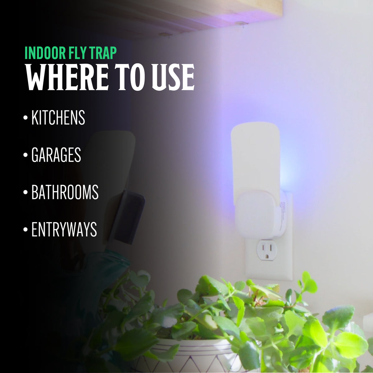 Indoor Fly Trap – Grandpa Gus