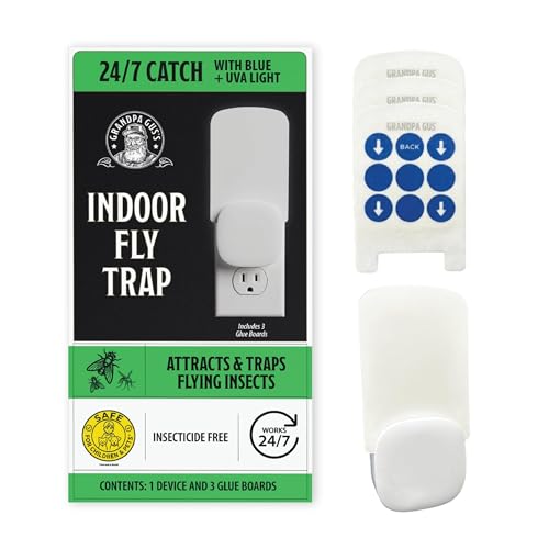 Indoor Fly Trap