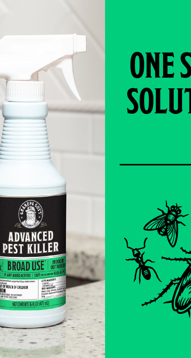 Advanced Pest Killer Ready-To-Use Spray