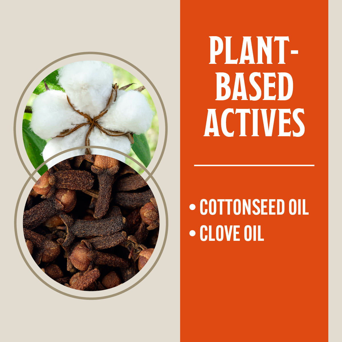 Flea & Tick Killer Spray for Pets & Home – Grandpa Gus