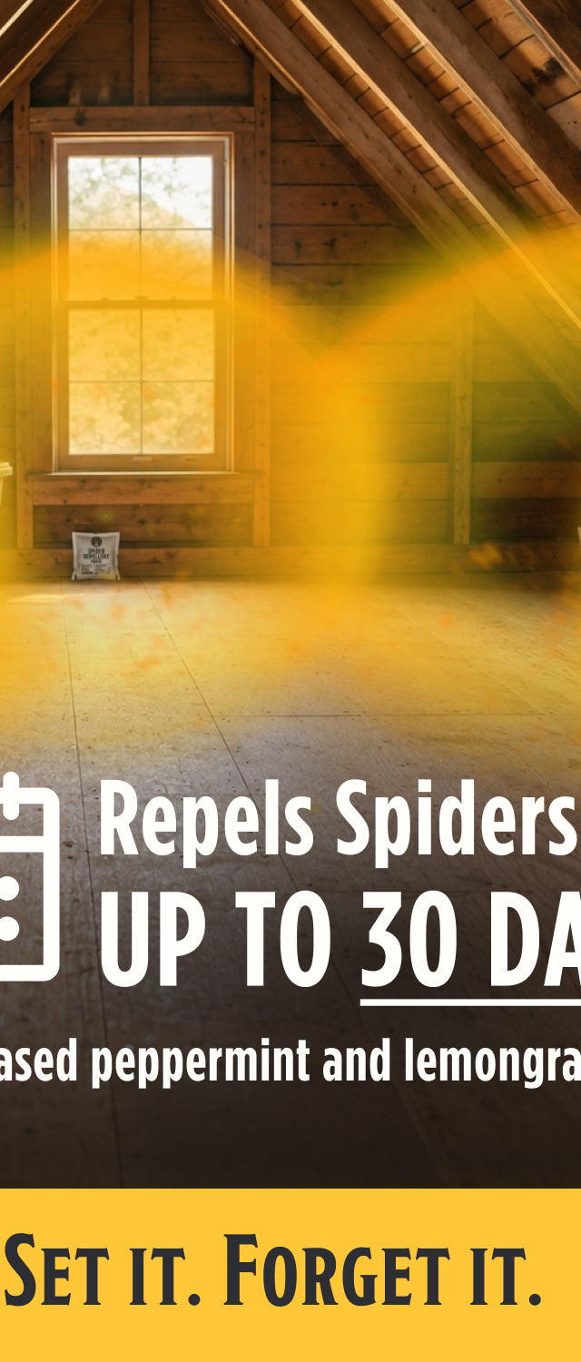 Spider Repellent Pouches