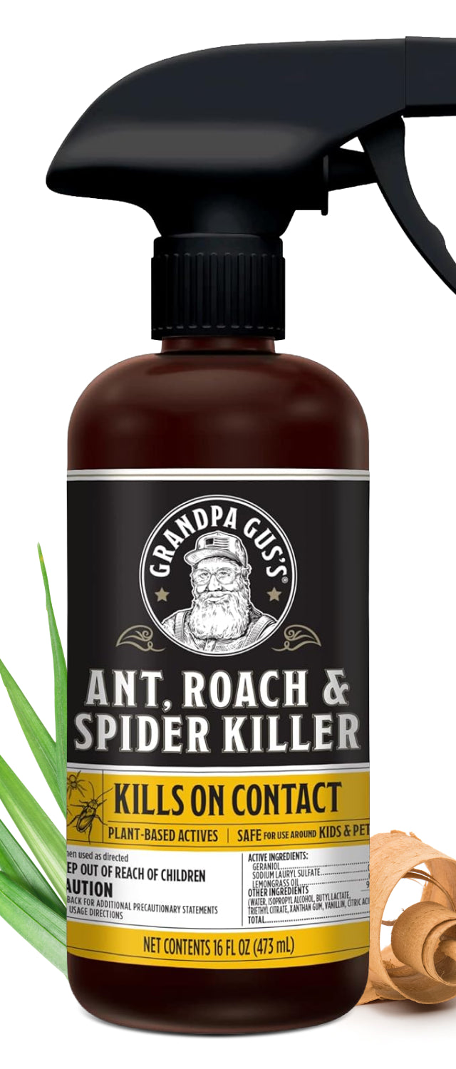 Ant, Roach, and Spider Killer Spray