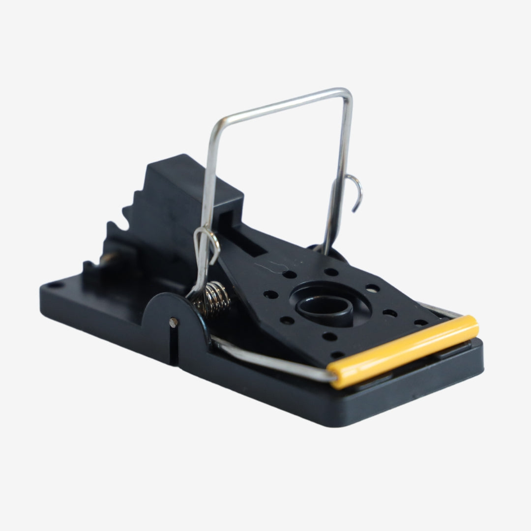 Large Snap Traps for Rats (6 Pack)