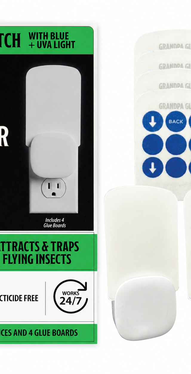 Indoor Fly Trap 2 Pack