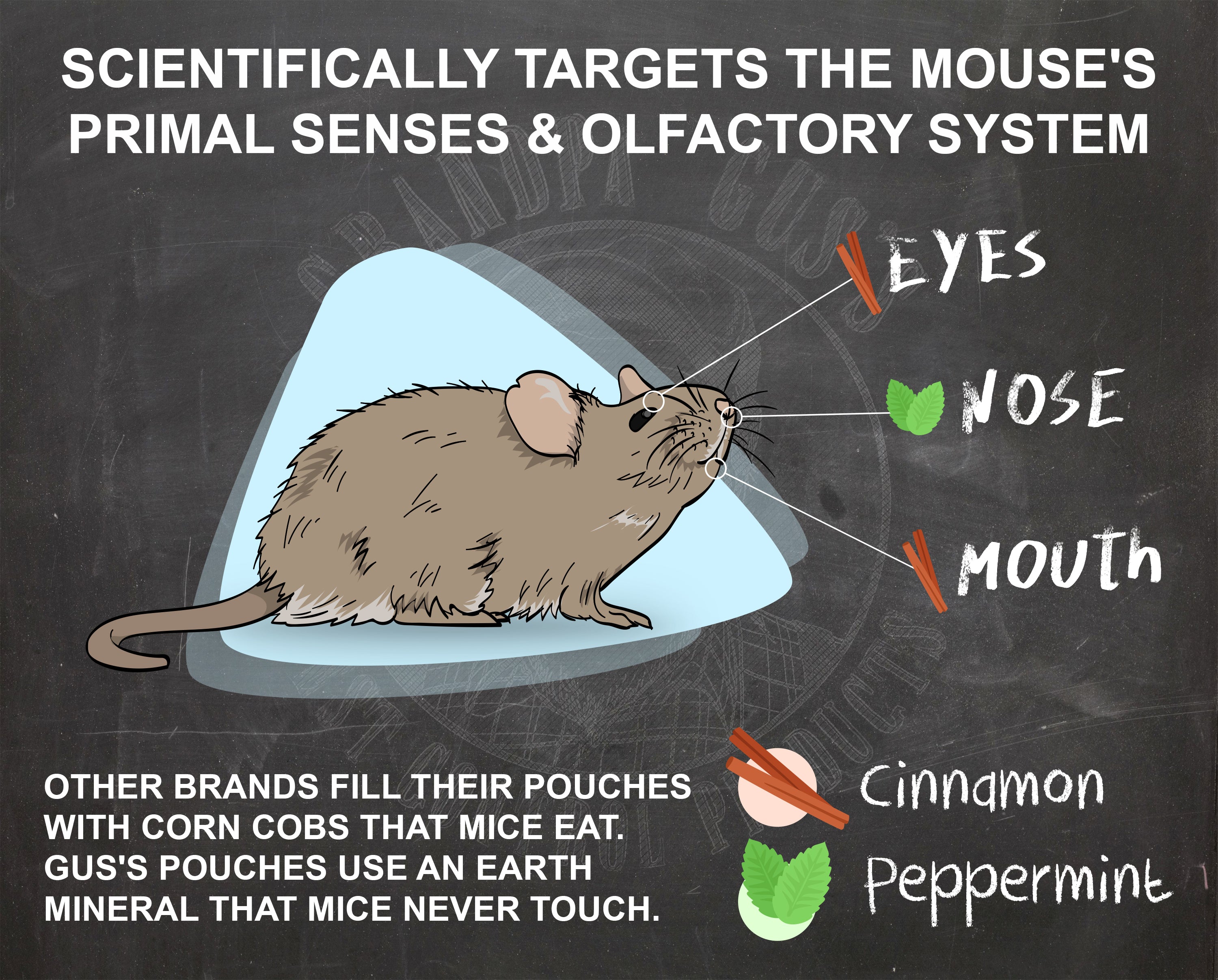 Rodent Repellent Spray 3