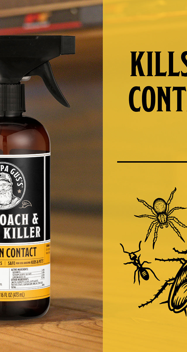Ant, Roach, and Spider Killer Spray